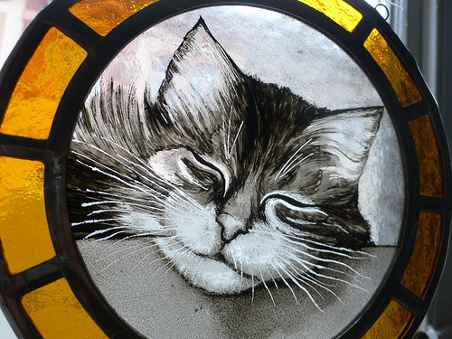 Kocour Mikin — foto 3