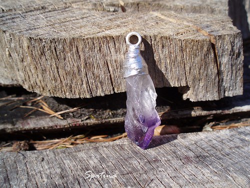 Pan Paleček — foto 2
