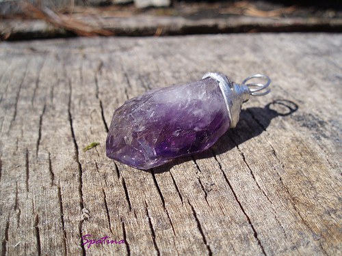 Paleček mladší — foto 2