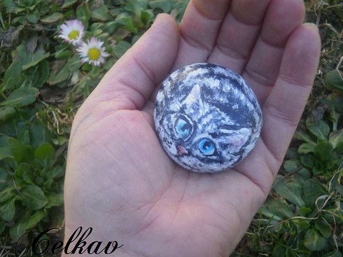 Číhám..... — foto 6