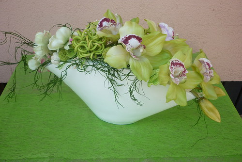 Orchidej v bílé váze — foto 3