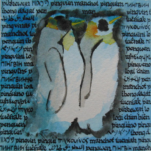 Manchot — foto 3