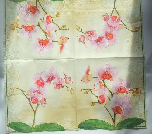 Orchidej — foto 3