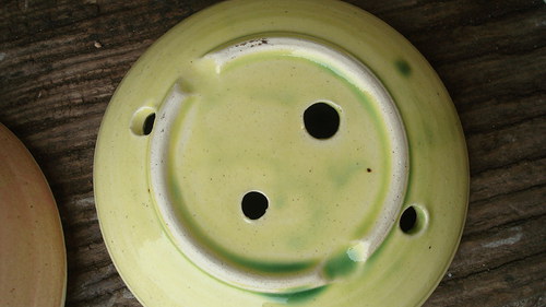 Dinosauří mýdelník — foto 3