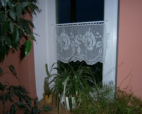 Záclonka s růží — foto 2