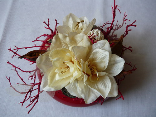 Amaryllis v červeném... — foto 3