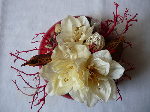 Amaryllis v červeném... — foto 4