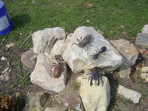 Roháč z papíru — foto 4