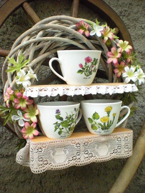 Herbář — foto 2