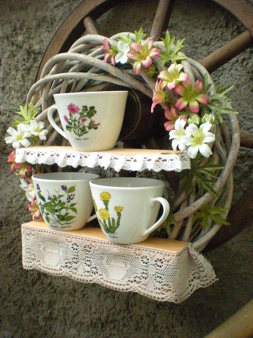 Herbář — foto 3