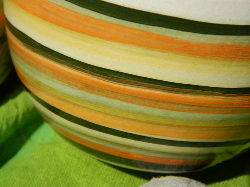 Jarní veselé pruhatice — foto 5