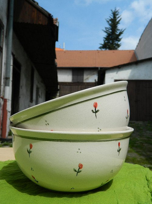 Tulipánková polévka — foto 2