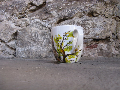 Sova ušatá — foto 3