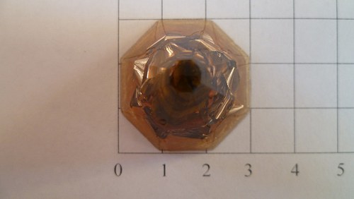 Jehlan tygří oko — foto 2