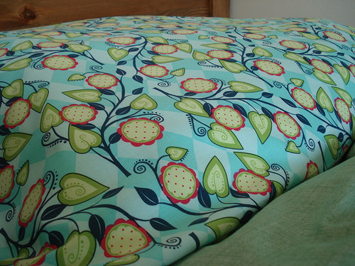 Popínavka aqua — foto 3