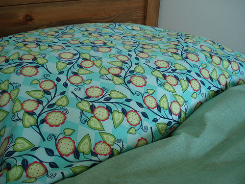 Popínavka aqua — foto 5