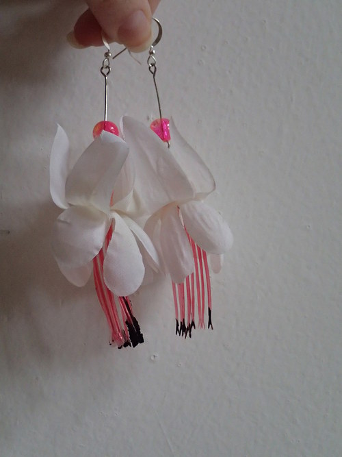 Fuchsia magellanica — foto 2