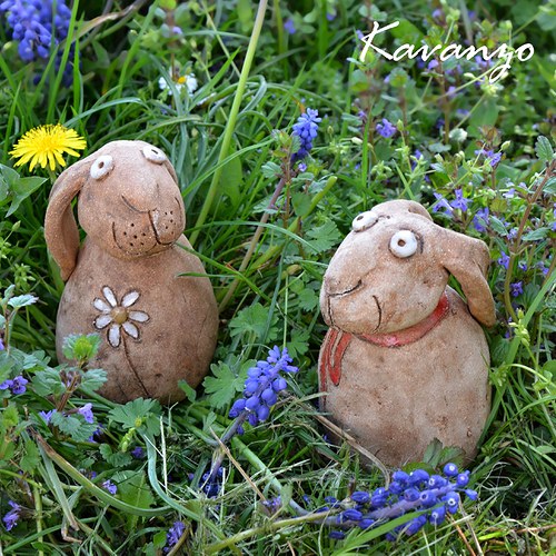 Králíci... — foto 3