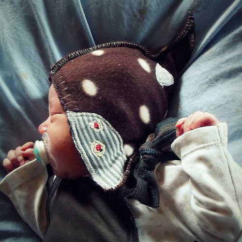 Mimiskřítkočapka...čokoládovka:-) — foto 3