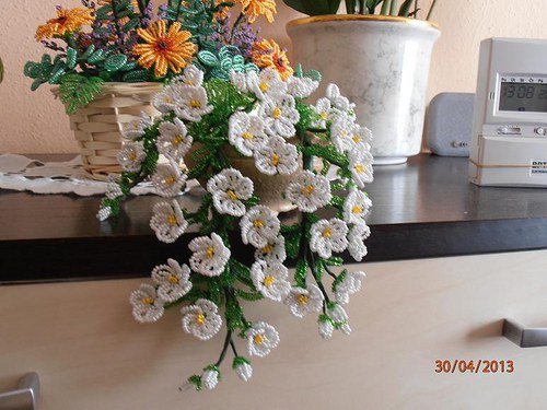 Převislá Kytka — foto 3