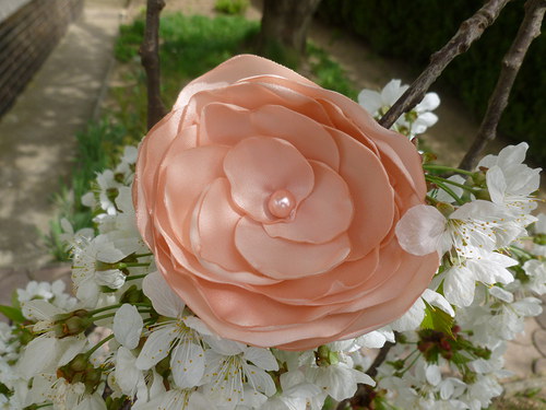Brož - lososová — foto 2
