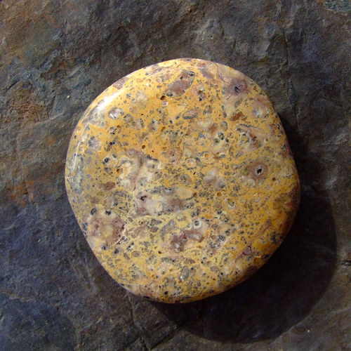 Jaspis Leopardí — foto 2