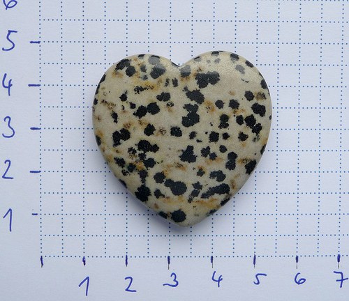 Jaspis dalmatin - srdce — foto 2