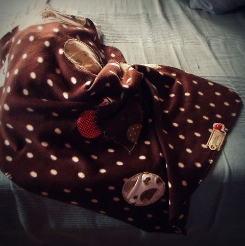 Ježečkodečka...houbová:-) — foto 3