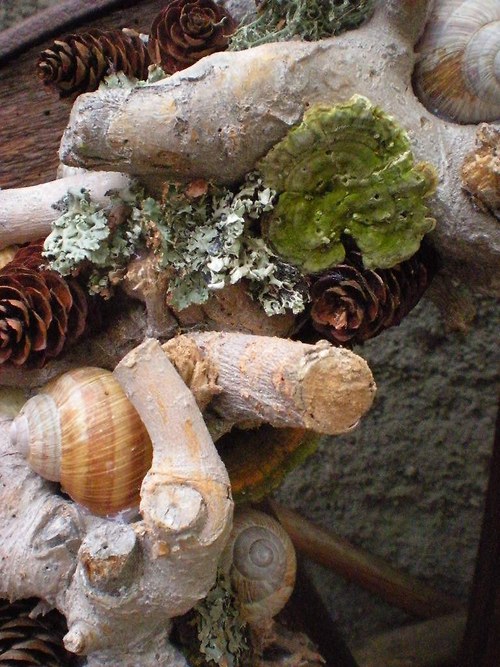 Harald V. — foto 5