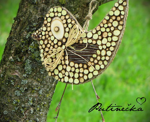 Brandlínskej ptakoš — foto 3