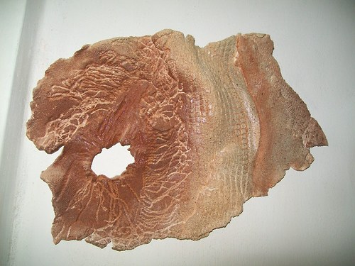 Plastika — foto 4