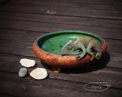 "Chameleon" — foto 2