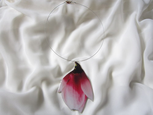 Poupě magnolie — foto 2