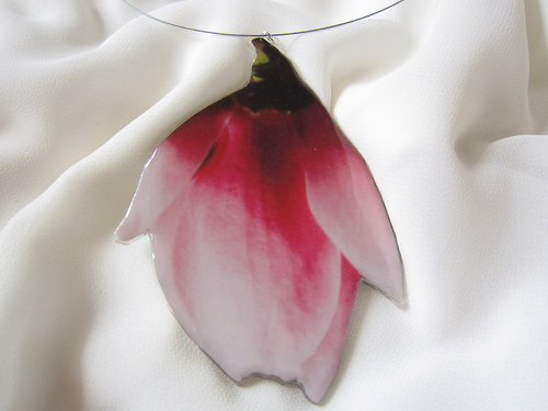 Poupě magnolie — foto 3