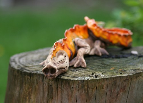 Strašně strašidelný drak (:-)) — foto 2