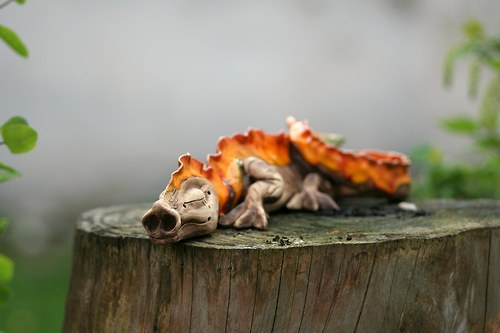 Strašně strašidelný drak (:-)) — foto 3