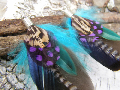 Wild duck — foto 5