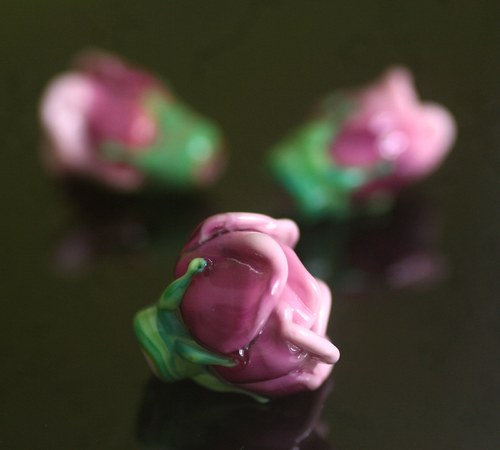 Růženky 6 — foto 3
