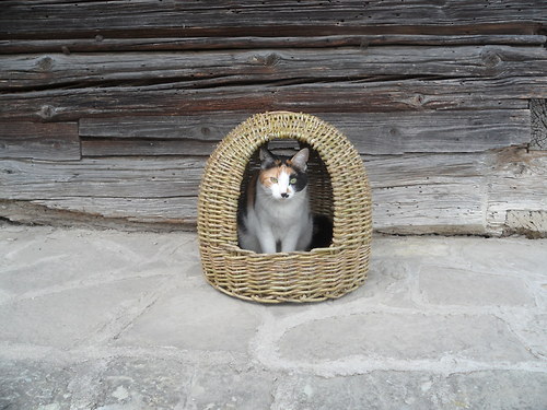 Proutěná kukaň pro slepice — foto 2