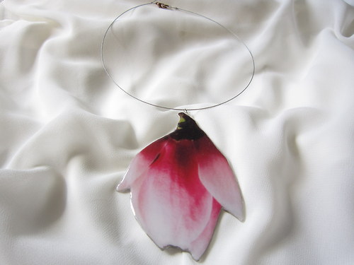 Poupě magnolie — foto 4
