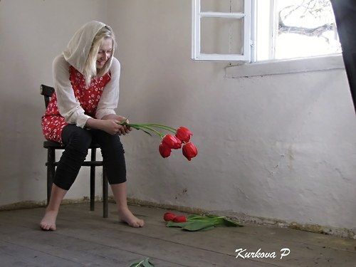 Rozkvetlá třešeň — foto 6