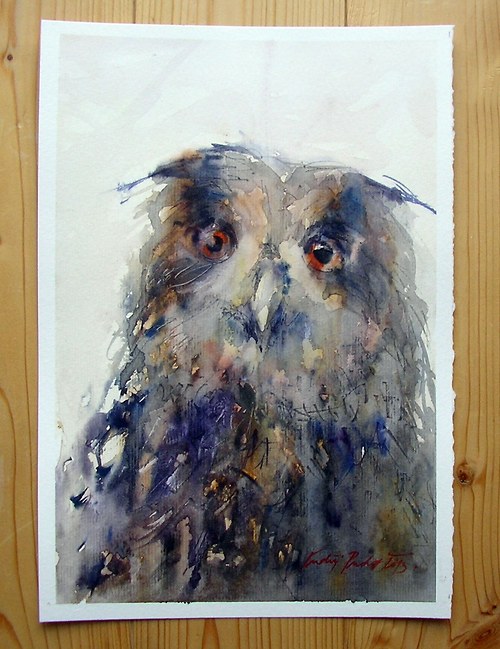 Bubo bubo,originální akvarel A4 — foto 2