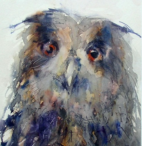Bubo bubo,originální akvarel A4 — foto 3