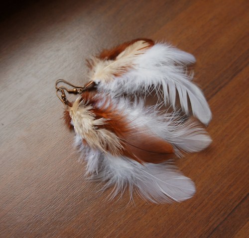 Peříčkové hnědo-bílé — foto 2