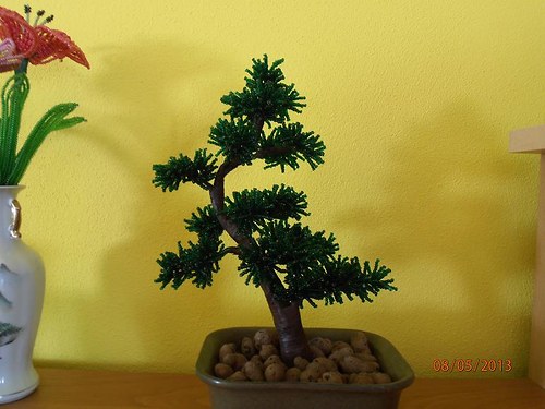 Bonsaj — foto 3