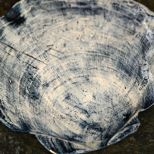 Lastura — foto 2