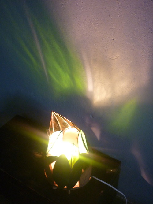 Botanicus — foto 2