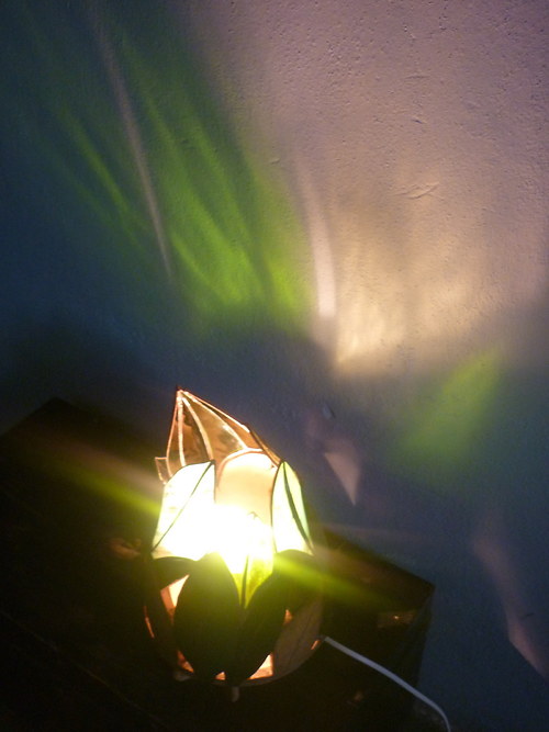 Botanicus — foto 4