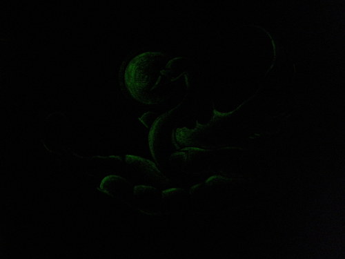 Věrnost — foto 3