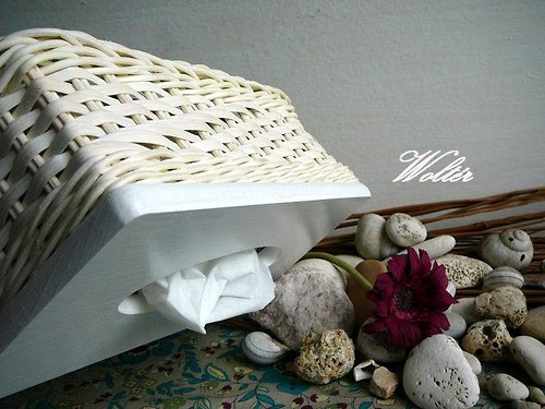 Kapesníkovník bílý pásek + bílé víko — foto 5